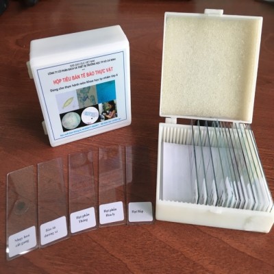 Bộ dụng cụ quan sát tế bào (THCS)