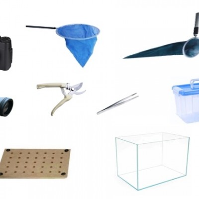 Bộ dụng cụ thu thập và quan sát sinh vật ngoài thiên nhiên (THSC)